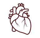 Cardic Diseases - Rehman Healthcare Center