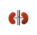 Renal & chronic kidney disease